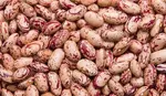 Learn more about how to plant and grow Beans in Uganda