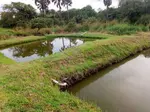 A Fish Pond For Fish Farming