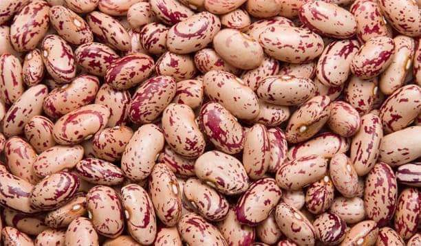 Beans grown in Uganda