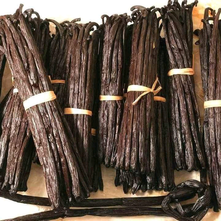 Import High Quality Vanilla Beans From Uganda
