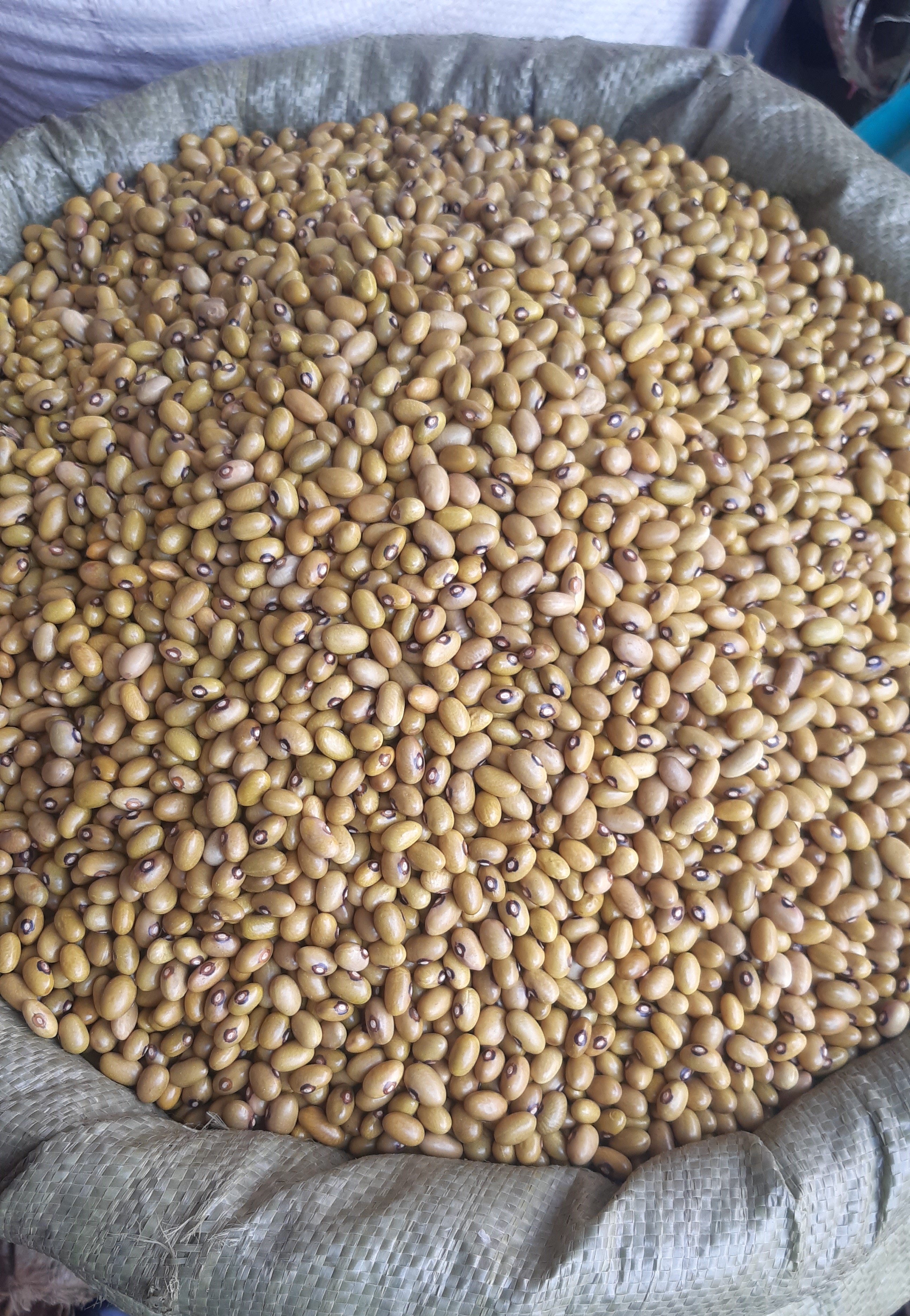 Buy Small Yellow Beans In Uganda