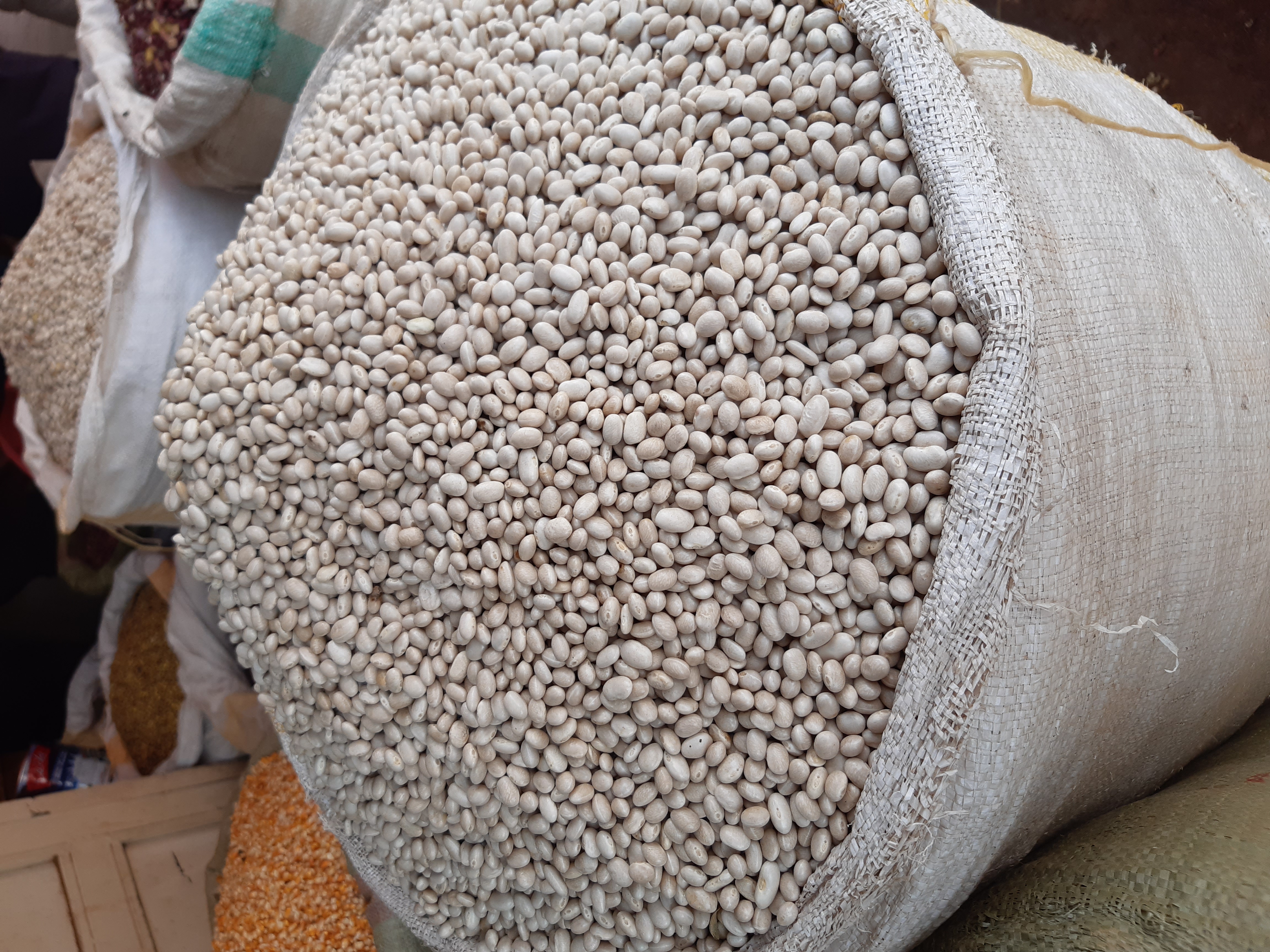 Buy Small White Beans From Uganda