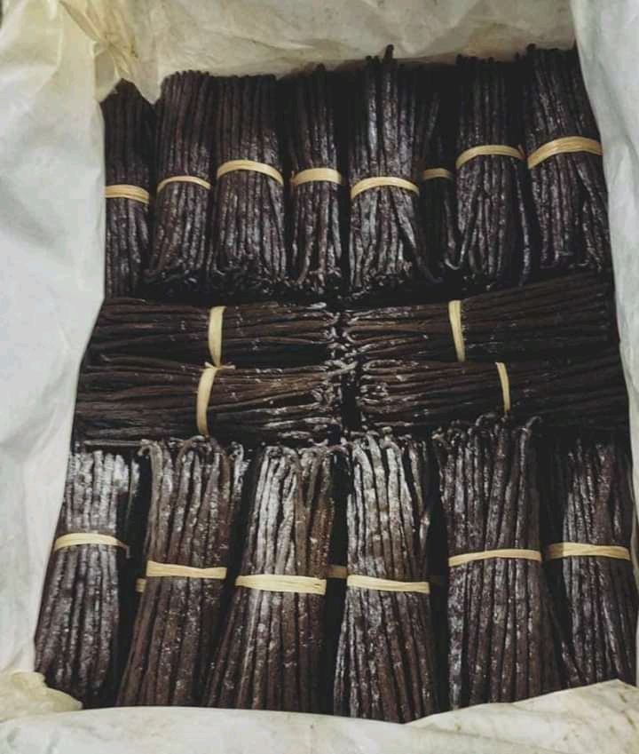 Buy Cured Grade A Vanilla Beans From Uganda