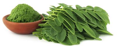 Moringa powder
