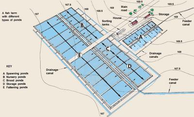 A Fish Farm With Different Types Of Ponds