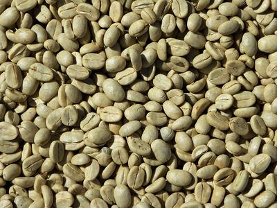 Uganda Green Arabica Coffee